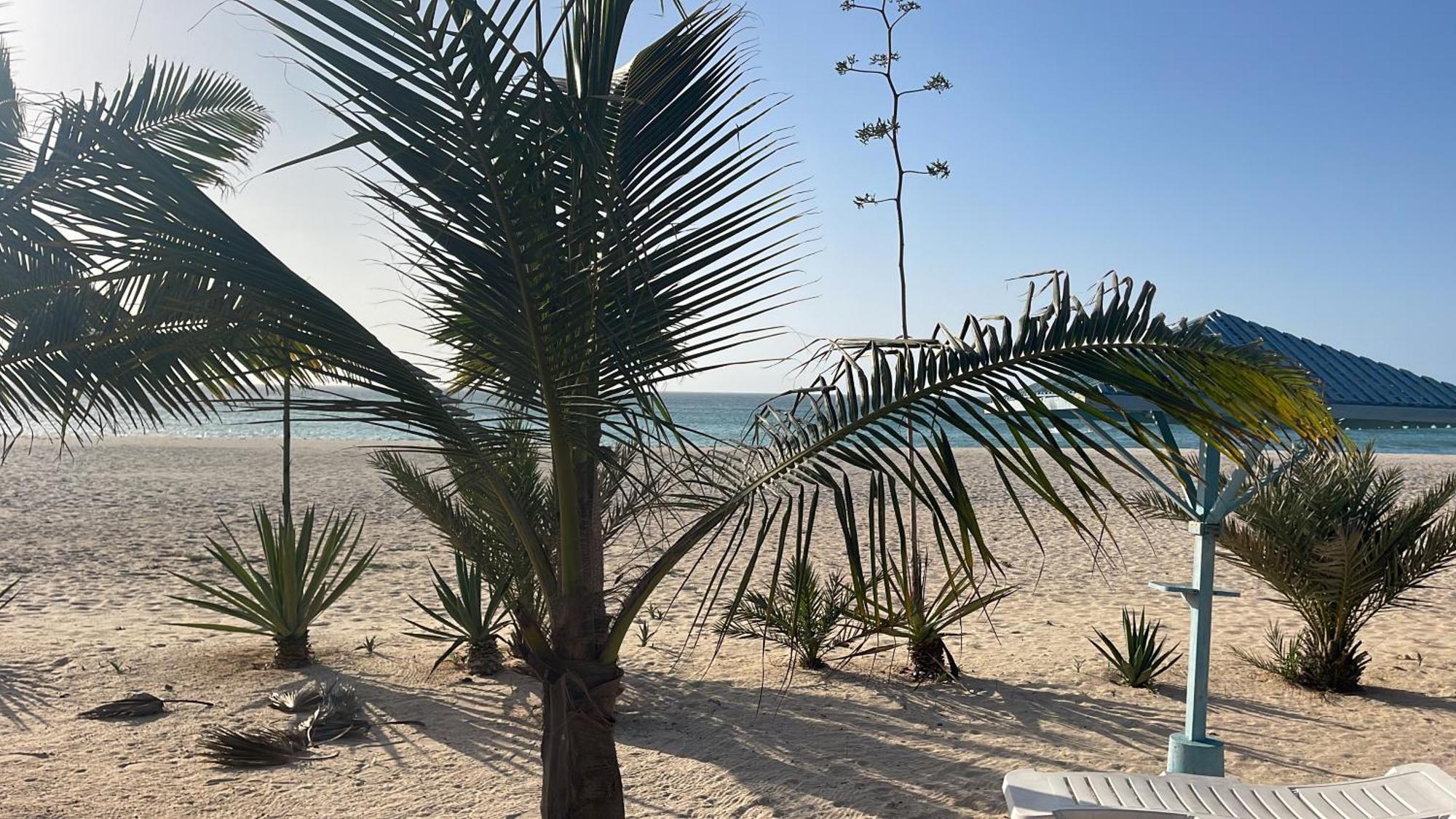 Luxury Beach Villa, Praia De Chaves, Boa Vista Sal Rei Exterior photo